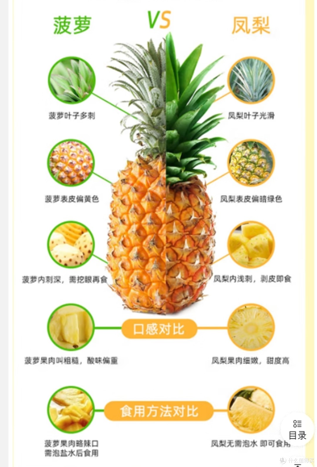 凤莉菠萝的区别 凤梨和菠萝有什么区别?教你一招,轻松识别 