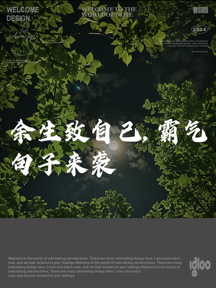 弄潮儿登场，闪耀舞台，成就传奇的简单介绍