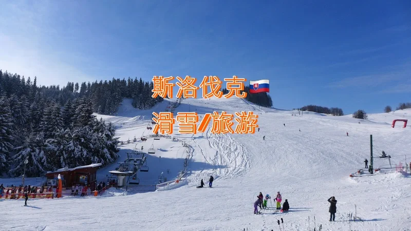 斯洛伐克滑雪队赢得掌声夺金 斯洛伐克滑雪队赢得掌声夺金的是谁 