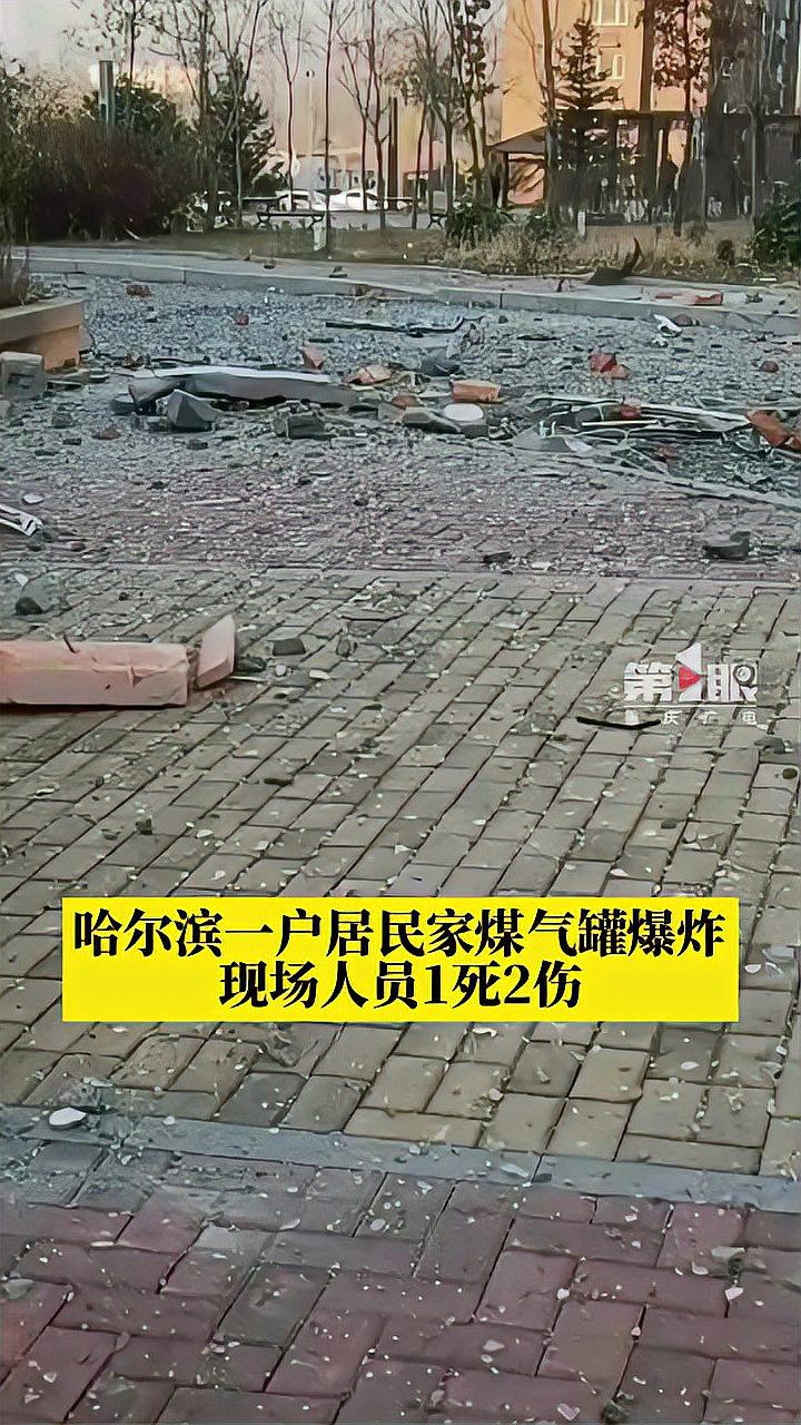 包含哈尔滨队主帅急需调整球员伤病情况，保持实力的词条
