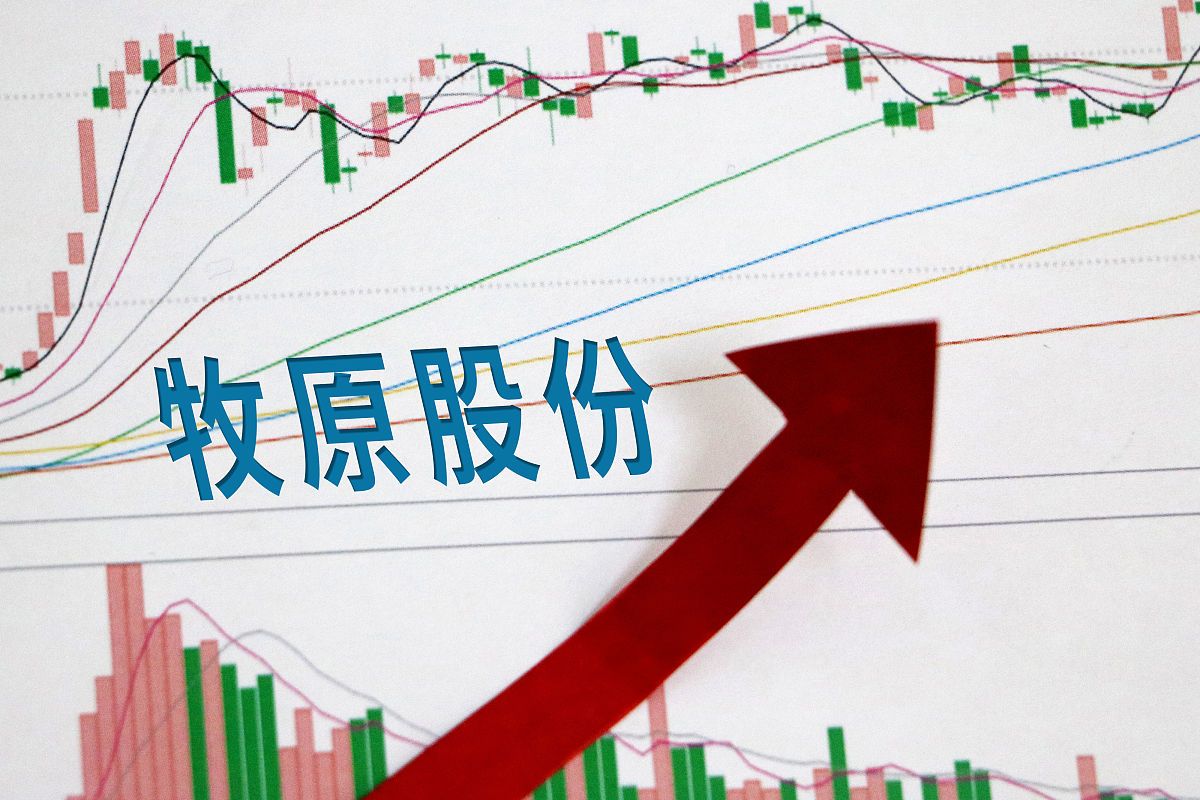 关于训练师技术受到质疑，球队状态出现大起大落的信息